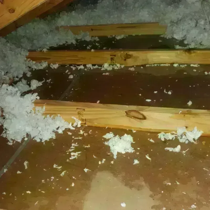 Attic Water Damage in Oakwood, PA